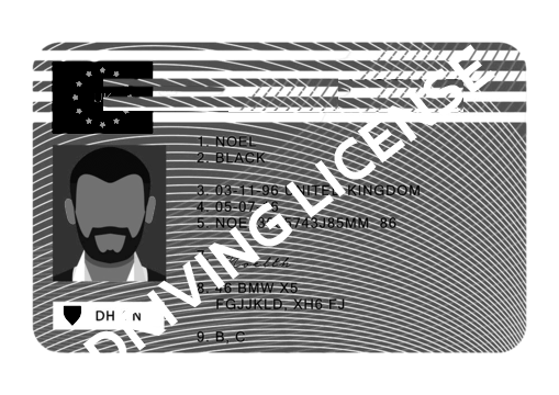 Driving License